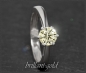 Preview: Brillant Ring 585 Gold 1,04ct, zart gelb, Si2